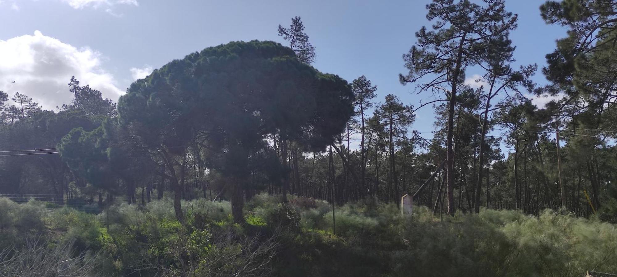 Holiday home Casa Do Poco Vila Real de Santo Antonio